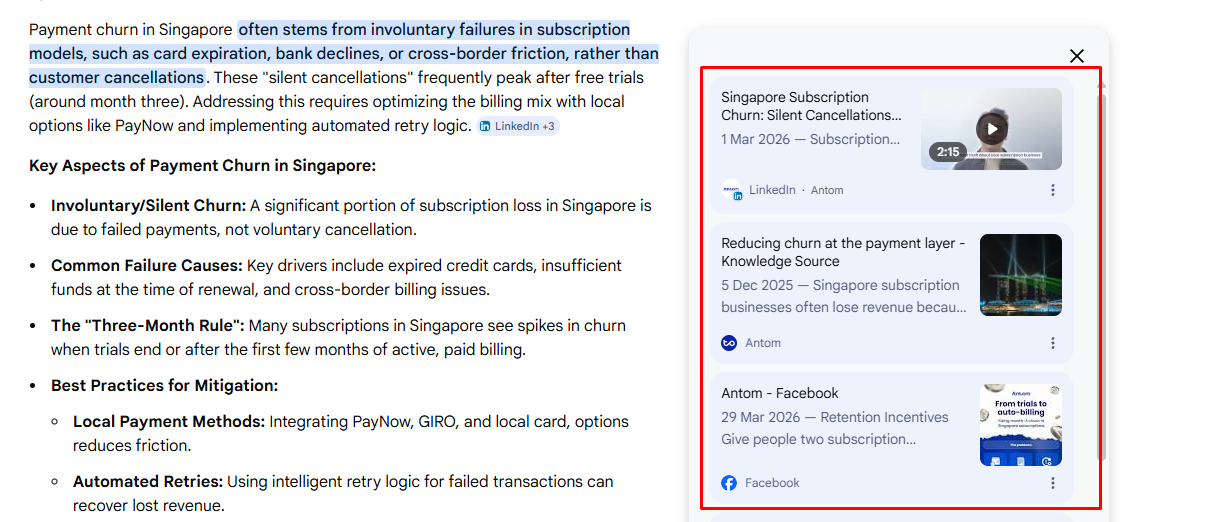 Google AI Overview — Antom cited for payment churn